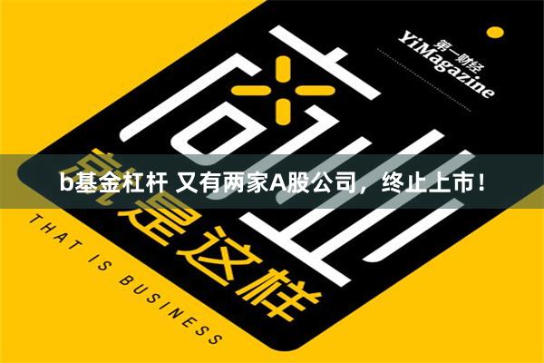 b基金杠杆 又有两家A股公司，终止上市！