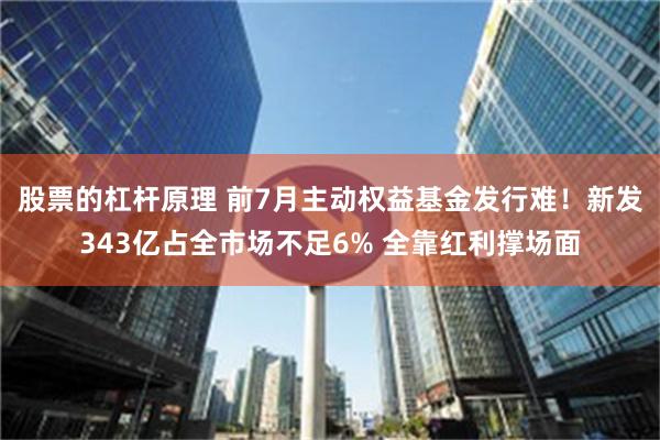 股票的杠杆原理 前7月主动权益基金发行难！新发343亿占全市场不足6% 全靠红利撑场面