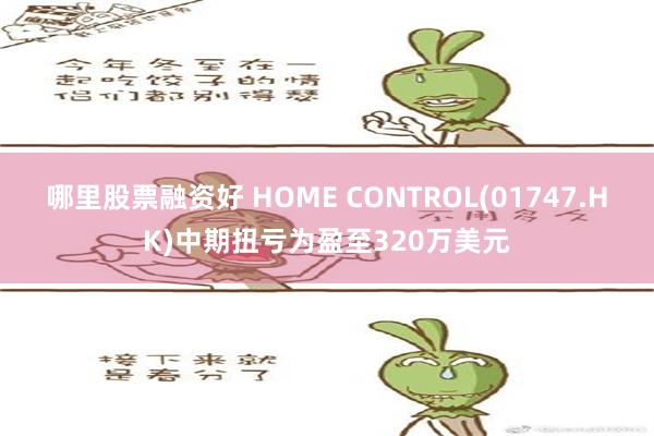 哪里股票融资好 HOME CONTROL(01747.HK)中期扭亏为盈至320万美元