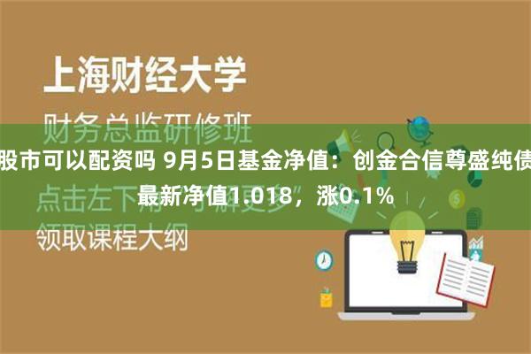 股市可以配资吗 9月5日基金净值：创金合信尊盛纯债最新净值1.018，涨0.1%