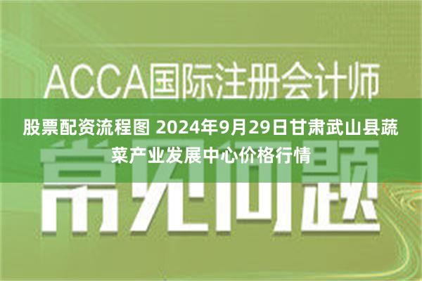 股票配资流程图 2024年9月29日甘肃武山县蔬菜产业发展中心价格行情