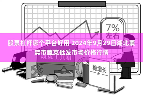 股票杠杆哪个平台好用 2024年9月29日湖北襄樊市蔬菜批发市场价格行情