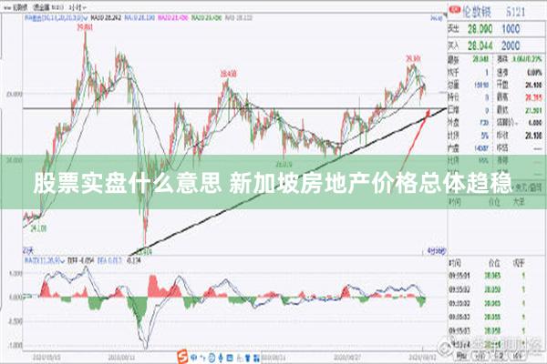 股票实盘什么意思 新加坡房地产价格总体趋稳