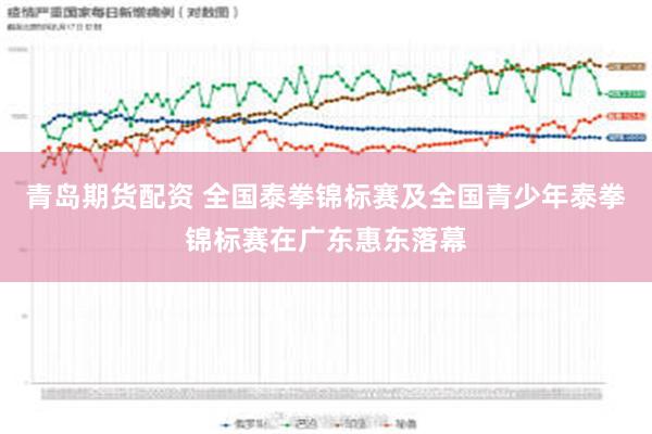 青岛期货配资 全国泰拳锦标赛及全国青少年泰拳锦标赛在广东惠东落幕