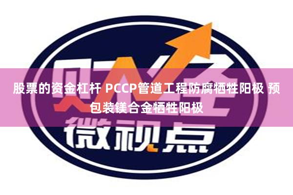 股票的资金杠杆 PCCP管道工程防腐牺牲阳极 预包装镁合金牺牲阳极